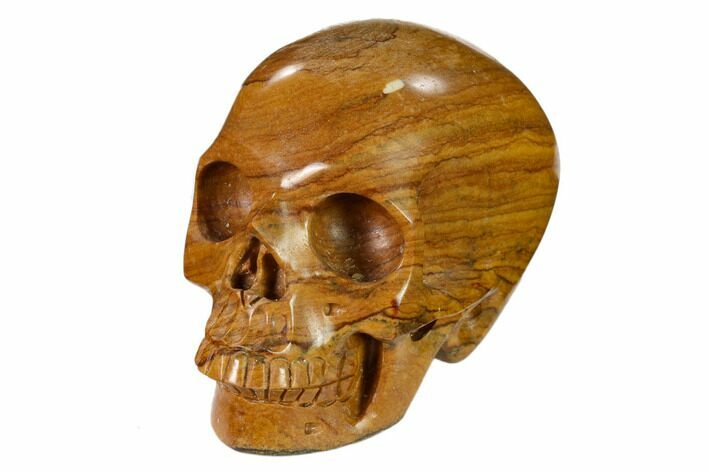 Realistic, Polished Picture Jasper Skull #151157